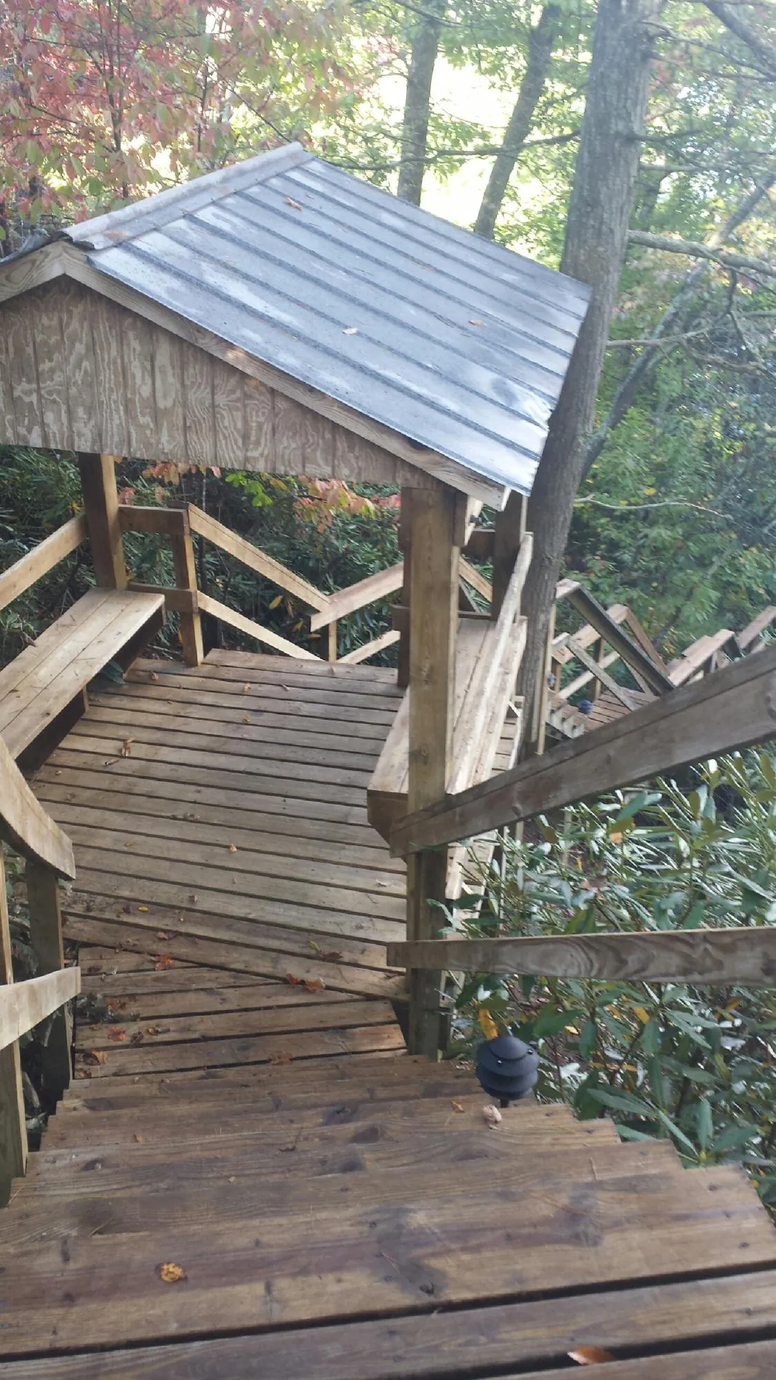 Metal roofed shelter over wooden steps on a wooded walkway — Skylight Repair & Installation work by our crew in Wahkiacus